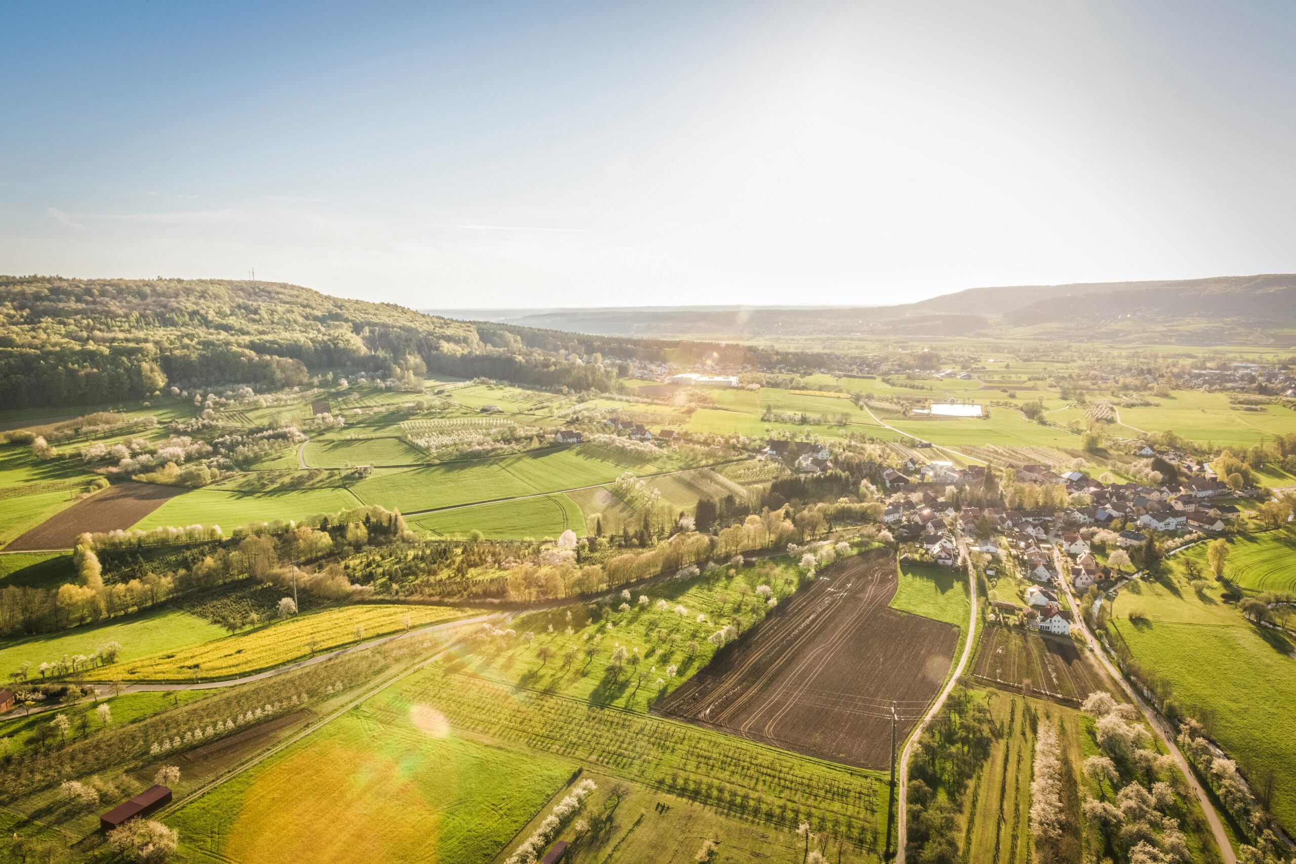 Rural countryside landscape. Daytime with everything green and gold. 