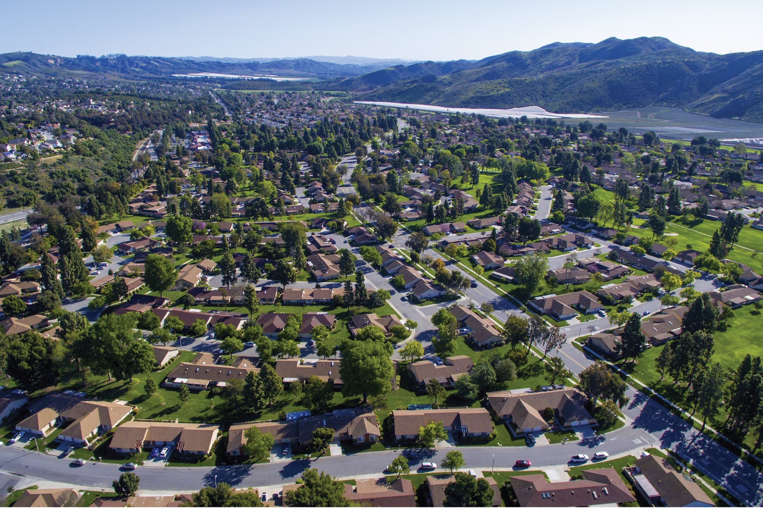 arial view of a suburbian area. Rows of houses.